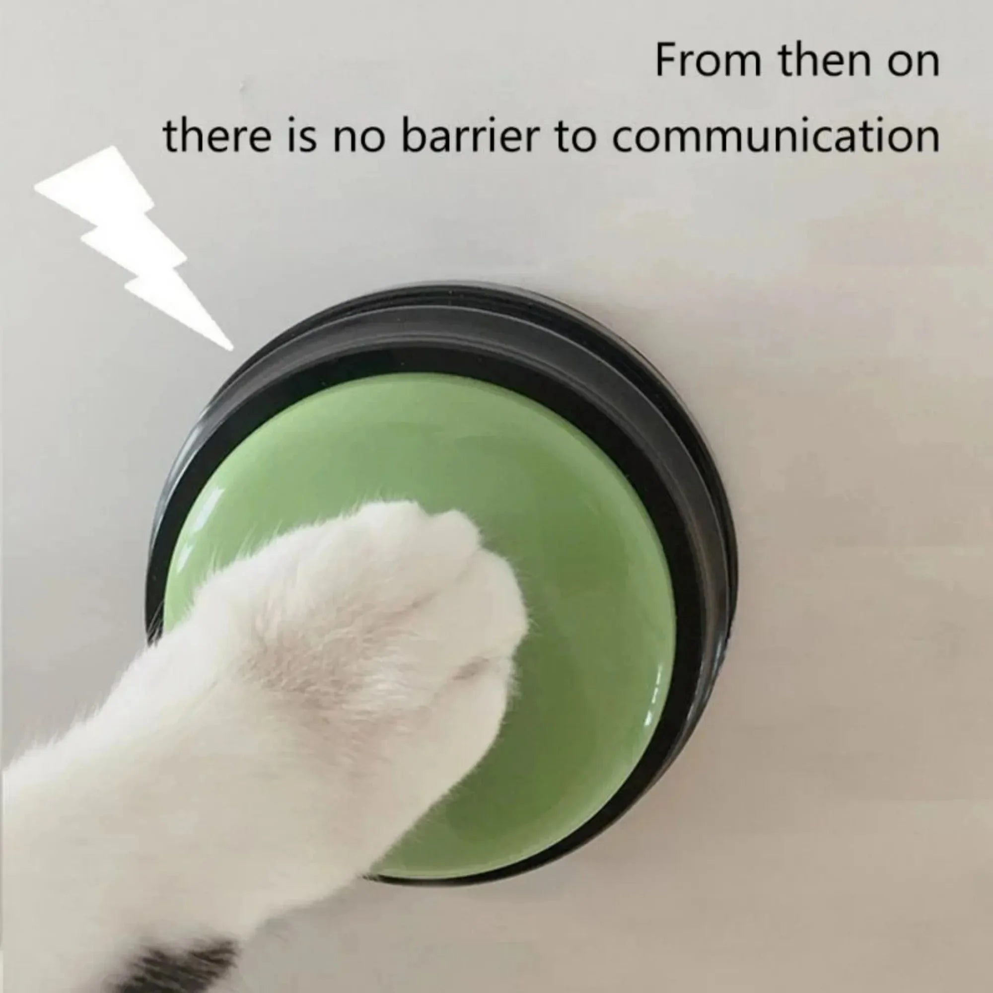 Dog Communication Button