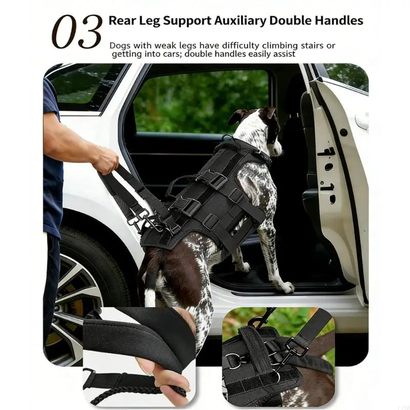 Customizable Dog Leg Support Harness (Large Breeds, Mobility Aid)