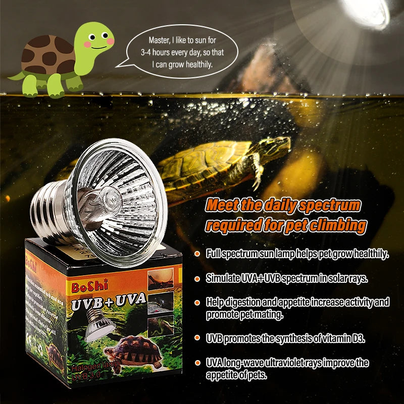 UVA+UVB 3.0 Reptile Lamp Holder Set with Clip-on Thermometer Hygrometer Lizard Turtle Tortoises Tools Basking Heating Bulb 220V