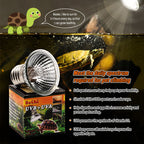 UVA+UVB 3.0 Reptile Lamp Holder Set with Clip-on Thermometer Hygrometer Lizard Turtle Tortoises Tools Basking Heating Bulb 220V