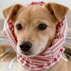 Breathable Dog Earmuffs Snood (Noise-Proof, Windproof, Anti-Insect)