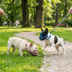 Short Snout Dog Muzzle for Flat-Faced Breeds (Breathable, Flexible)