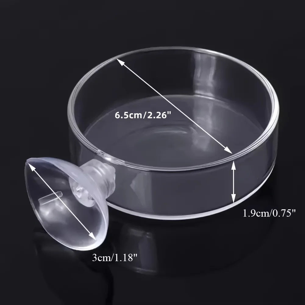 Fish Tank Feeder Aquarium Shrimp Acrylic Feeding Bowl Clear Dish Tray Container Feeders Aquarium Round Fish Shrimp Feeding