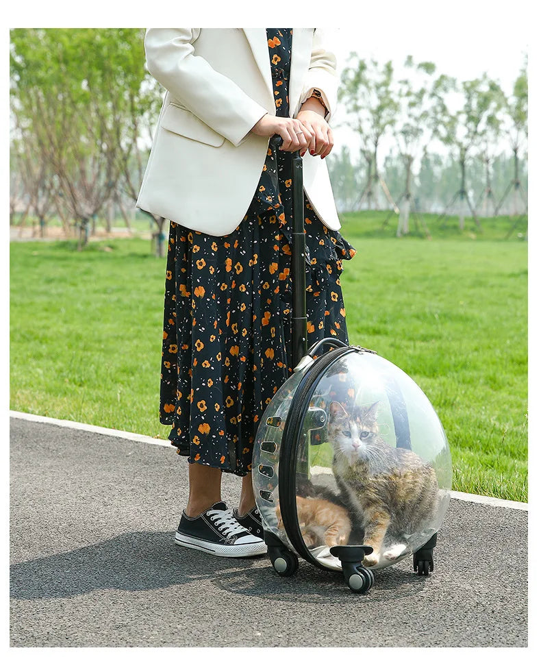 2026 Transparent Pet Luggage Large Capacity Handheld Pet Carrier Bag Portable Travel Cart for Cats Dogs