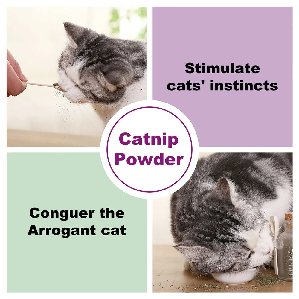 Organic Catnip Blend in Glass Jar (100ml)