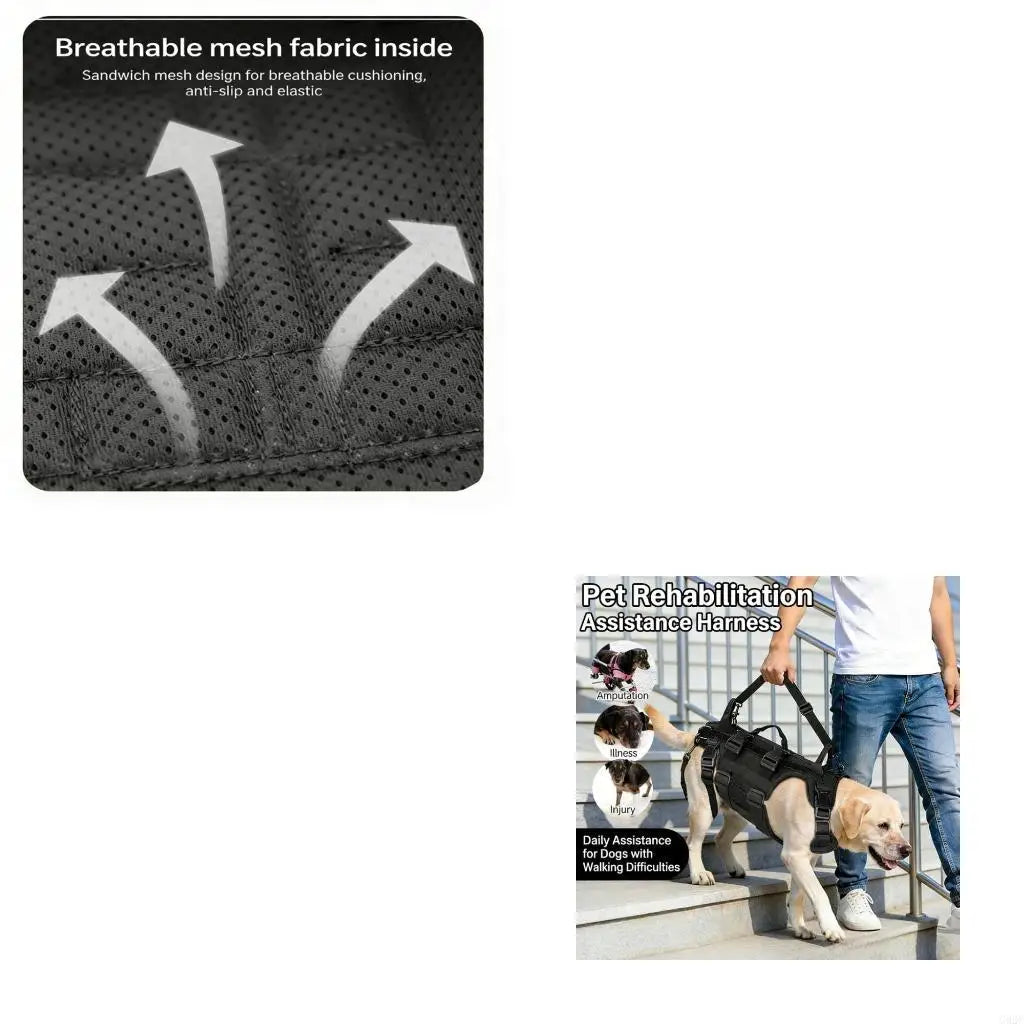 G92C Complete Support Outfit For Handicapped animals Featuring Strong D Attachments And Waterproof Fabric