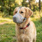 Air Mesh Dog Mouth Cover Adjustable Strap Soft Flexible Dog Anti Bite Guard Lightweight Multi-size Air Flow Dog Muzzle