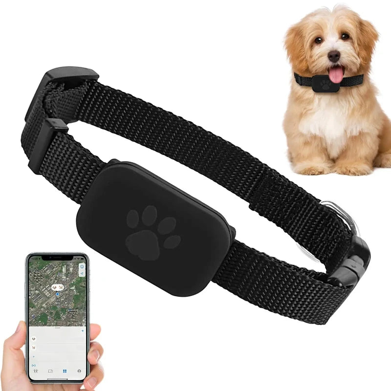 Multifunctional GPS Collar Tracker for Cats & Kittens (iOS Compatible)