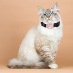 Smart Bluetooth Real-Time Global GPS Collar Tracker - Continuous Location Finder for Dogs & Cats