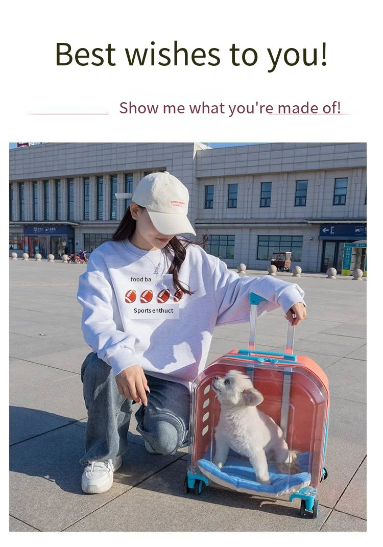2026 High Quality Translucent Pet Carrier Portable Outdoor Cat Bag Large Capacity Aviation Travel Case