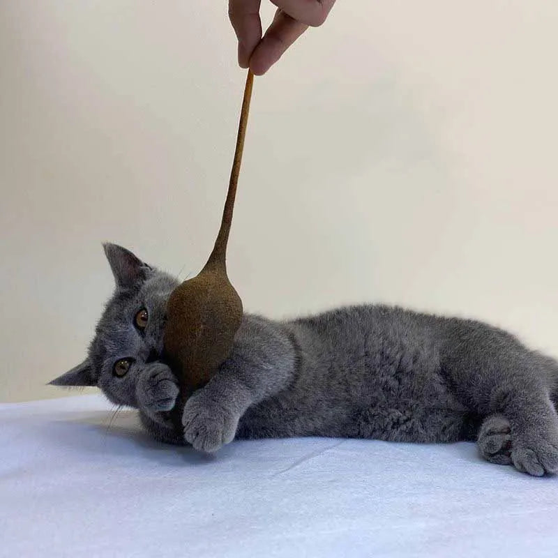 Simulation Mouse Rubber TPR Cat Toy for Indoor Play — Bite-Resistant Halloween Prank Rat Model