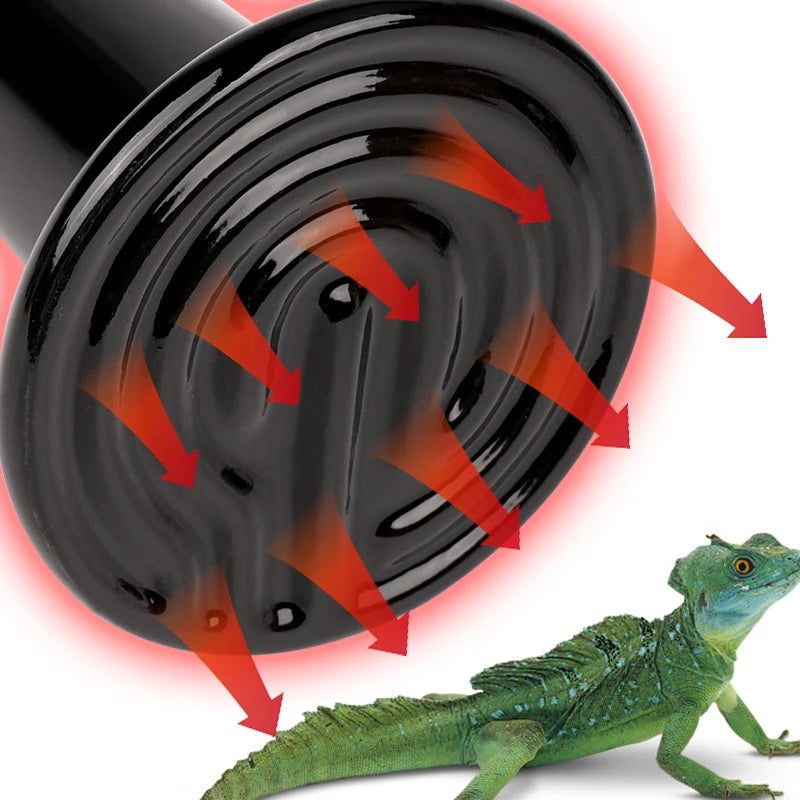 1Pcs 75mm/45mm Reptile Pet Ceramic Heating Lamp No Light Far Infrared Heater Bulb Turtle Snake Lizard Pet Chick Lamp 220-240v