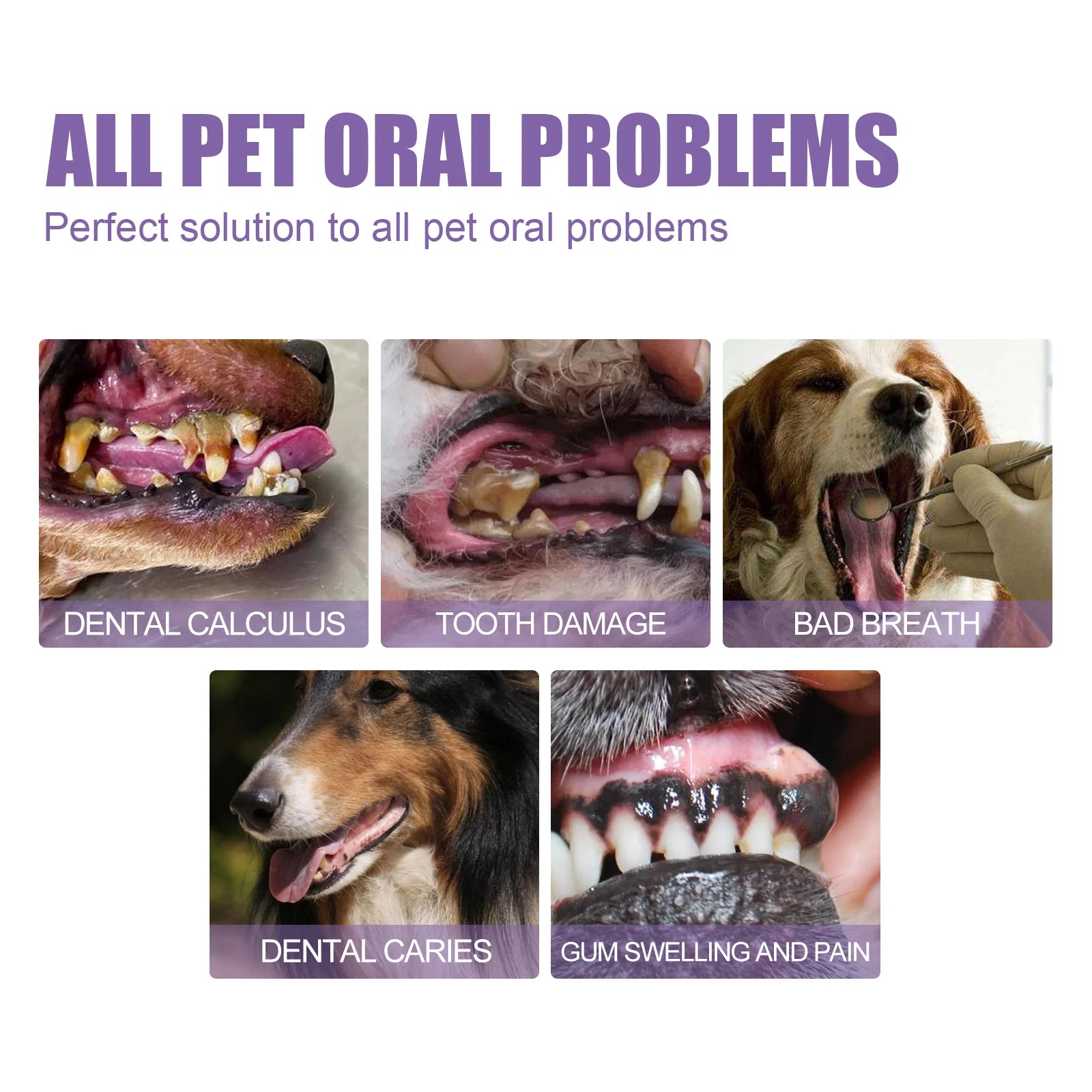 Pet Oral Repair Gel Stain Cleaner Remove Dental Stains Eliminating Odors Freshens Breath Reduce Pet Yellow Teeth Cleaning Pen