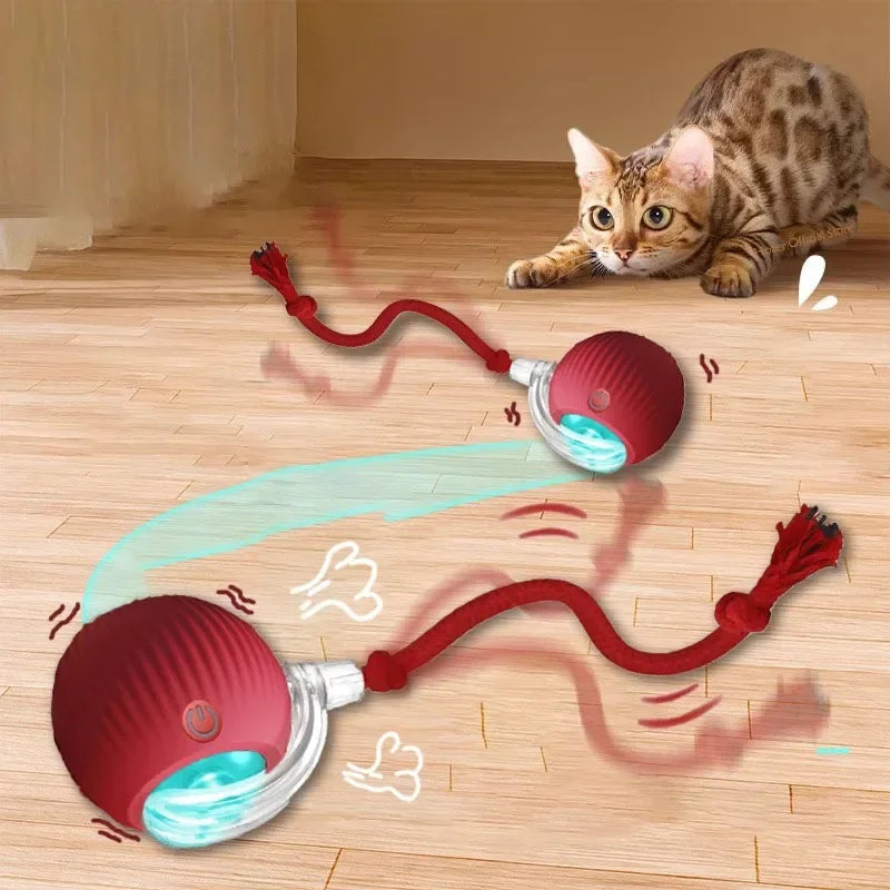 Rechargeable Auto Rolling Ball Cat Toy with Faux Tail — Smart Electric Mouse Imitation Toy for Cats & Dogs