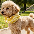 Breathable Dog Earmuffs Snood (Noise-Proof, Windproof, Anti-Insect)