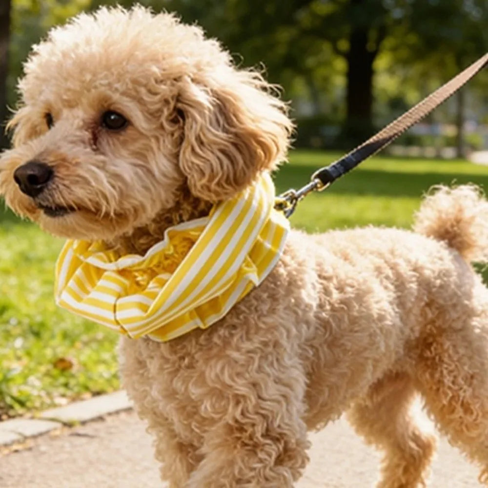 Breathable Dog Earmuffs Snood (Noise-Proof, Windproof, Anti-Insect)