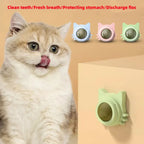 Natural Catnip Wall-Spin Ball Cat Toy — Mint Digestive & Dental Stimulator