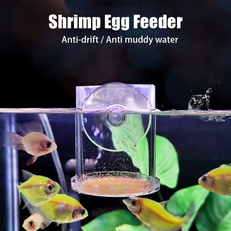 Acrylic Aquarium Fish Feeding Ring (Anti-Drift, Transparent, Floating Food Station)