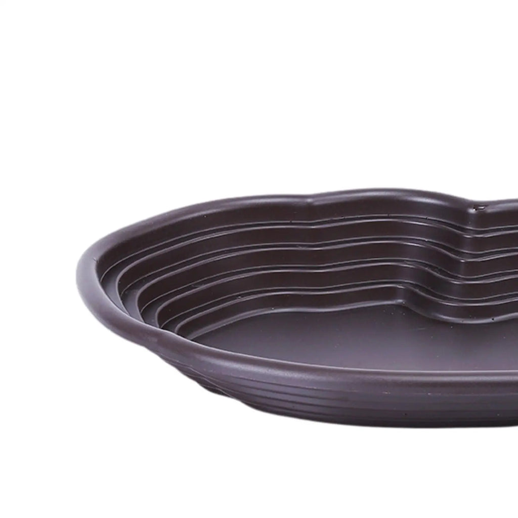 Reptile Feeding Dish Reptile Feeding Water Bowl Turtle Water Bowl Reptile Bathing Pool for Semi Aquatic Chameleon Gecko Rest