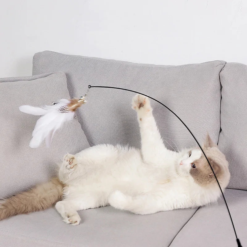 Suction Cup Feather & Bell Cat Teaser Wand