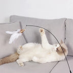 Suction Cup Feather & Bell Cat Teaser Wand