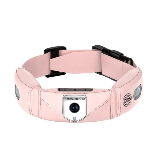 All-in-One Smart Pet Collar with GPS Tracker, 4K Camera & AI Voice Commands - Live POV & Health Alerts