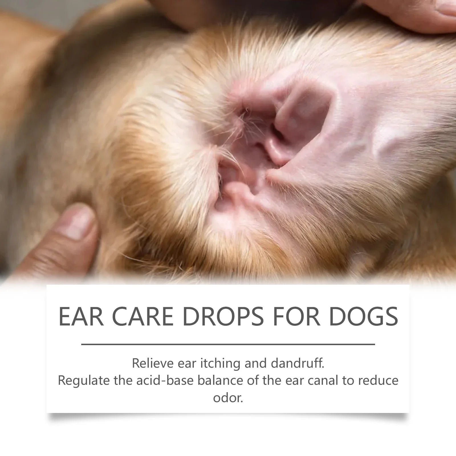 Yegbong 60ML Pet ear wash Cats and dogs ear water cleaning ear mite ear drops ear drops Department care pet cleaning products