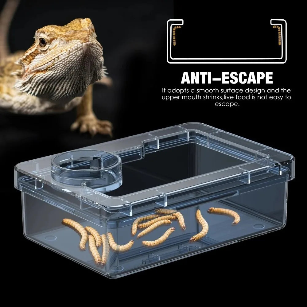Reptile Lizards Geckos Feeding Bowls Anti Overturning Transparent Water Bowls Prevent Tenebrio Molitor and Blaptica Dubia