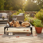 Elevated All-Season Pet Cot with Pillow Support (Travel-Friendly)