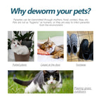 Cat Anti Flea Tick Drops Pet External Deworming Liquid Kill Lice Mite Relieve Itching Ringworm Treatment Cat Skin Insect Remover