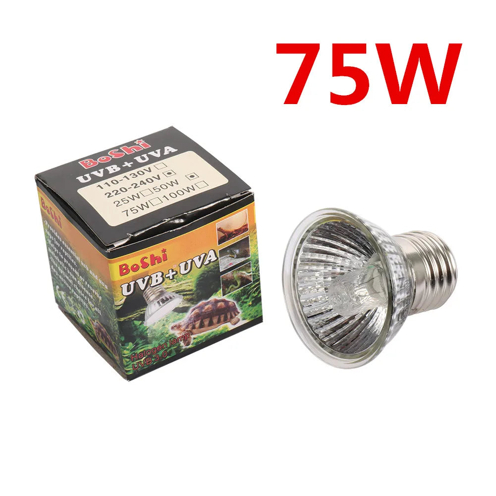 25/50/75W Reptile Lamp Bulb Amphibians Lizards Turtle Basking UVA+UVB 3.0  Light Bulbs Heating Lamp Temperature Controller 1Pc