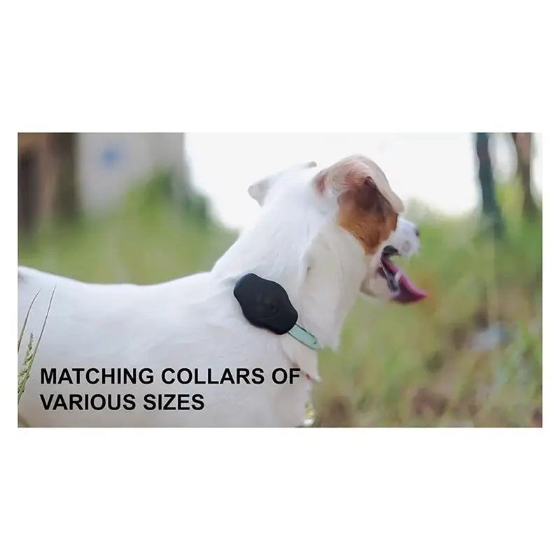 Protective Shell Collar Strap with AirTag Holder for Dogs & Cats