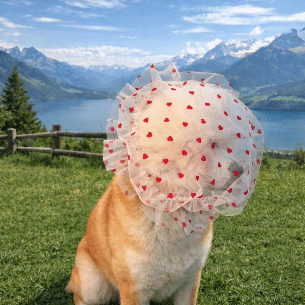 Breathable Mesh Pet Anti-Mosquito Headgear (Adjustable, Love/Wave Pattern)