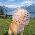 Breathable Mesh Pet Anti-Mosquito Headgear (Adjustable, Love/Wave Pattern)