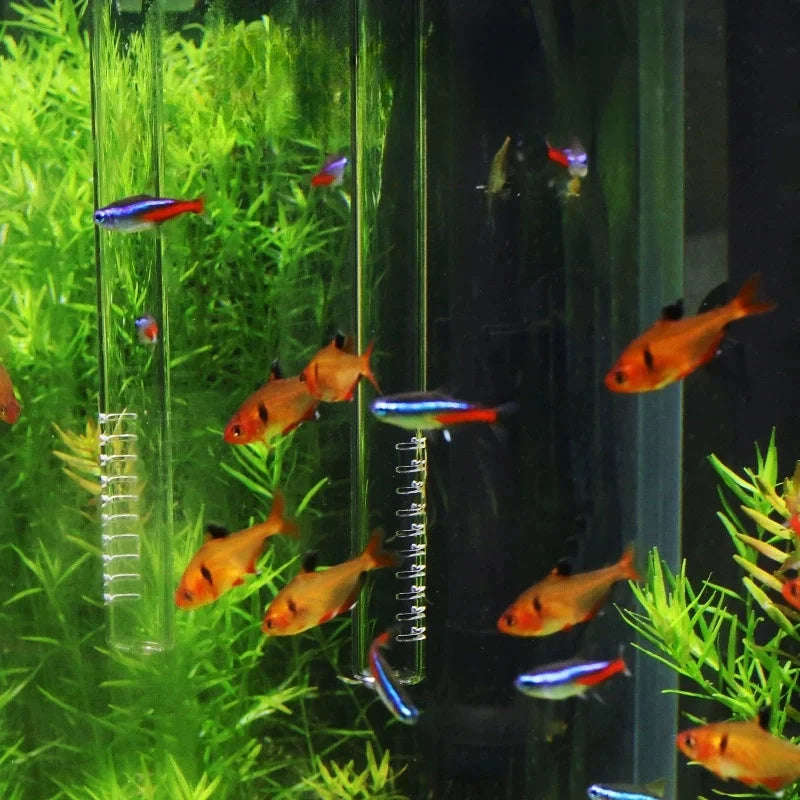 Borosilicate Glass Aquarium Inflow & Outflow Pipe (13mm/17mm, Planted Tank, Filter Tube)