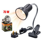UVA+UVB 3.0 Reptile Lamp Holder Set with Clip-on Thermometer Hygrometer Lizard Turtle Tortoises Tools Basking Heating Bulb 220V