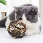 Catnip Bell Ball Cat Toy — Self-Entertainment Grinding & Teasing Jingle Toy