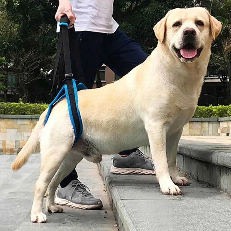 Portable Dog Recovery Sling Harness (Full Body Support, Breathable)