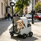 Small Pet Pet Carriage With Sun Sun Shade Lightweight Feline Pet Carriage Pet Outing Carriage Spacious Interior for Outdoor