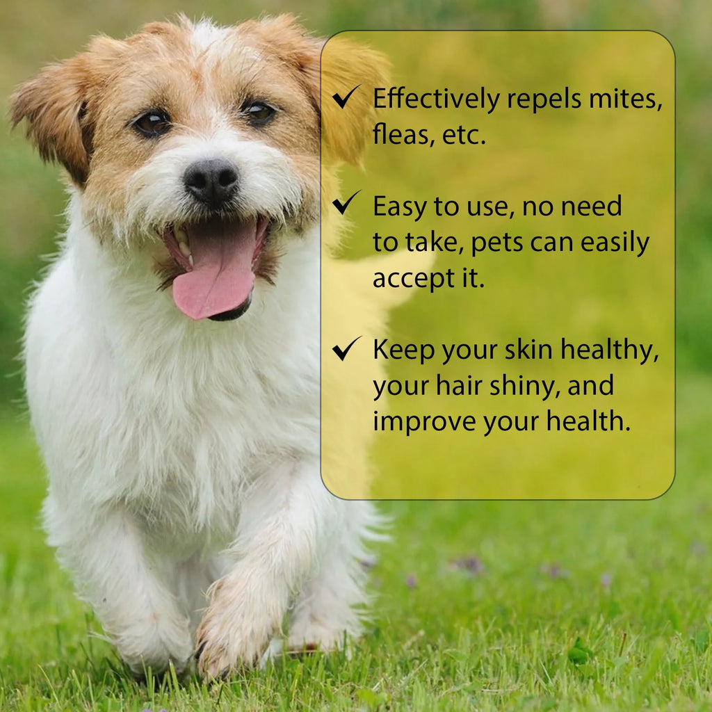 Anti-Flea Treatment Drops for Cats and Dogs (Tick & Lice Remover, Multi-Size)