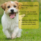 Anti-Flea Treatment Drops for Cats and Dogs (Tick & Lice Remover, Multi-Size)