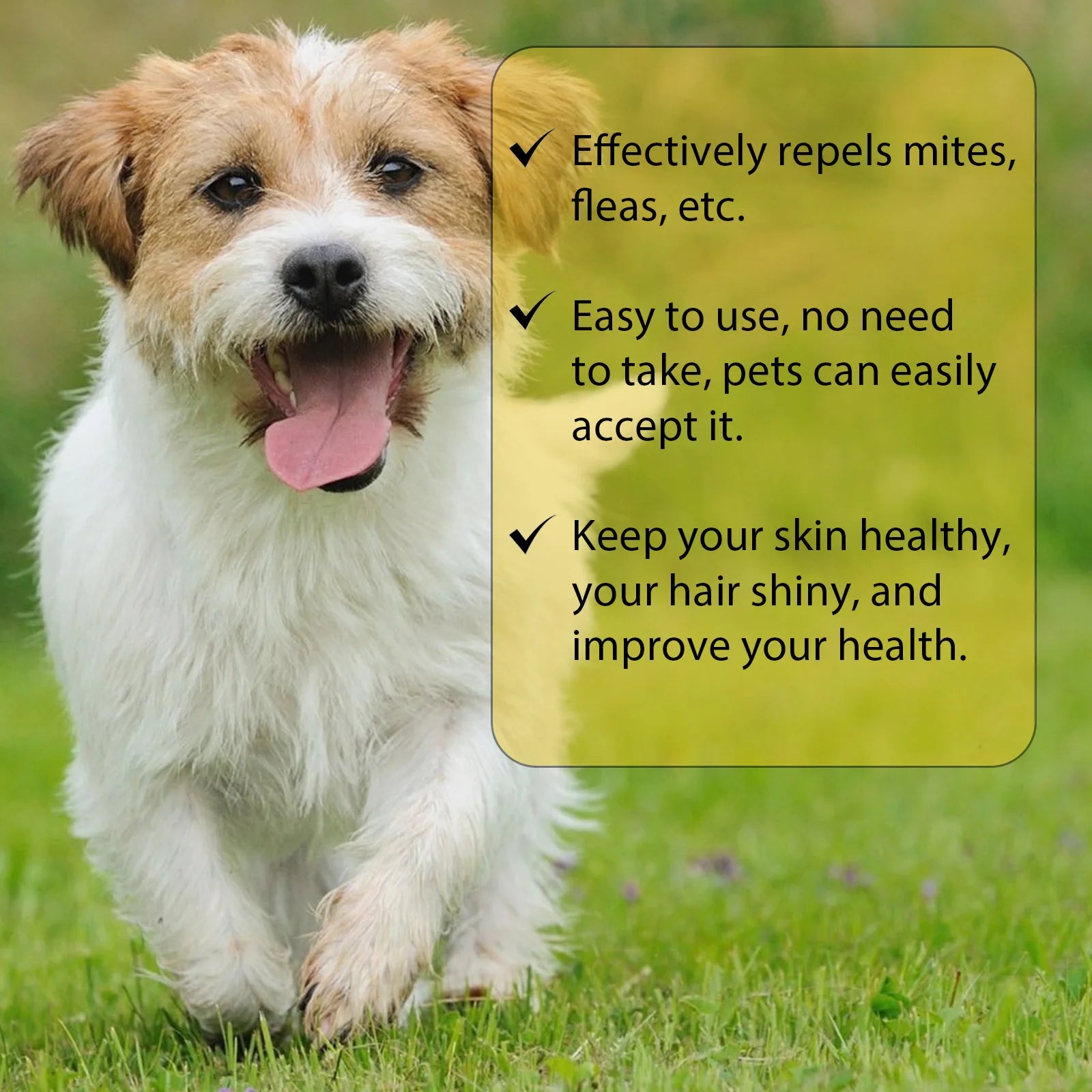 Anti-Flea Treatment Drops for Cats and Dogs (Tick & Lice Remover, Multi-Size)