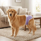 Breathable Dog Physiological Pants Leak-proof Adjustable Dog Menstrual Pants Reusable Highly Absorbent Dog Sanitary Panties