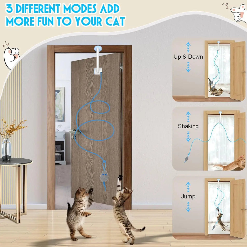 Hanging Door Swing Cat Toy with Sticky Disc