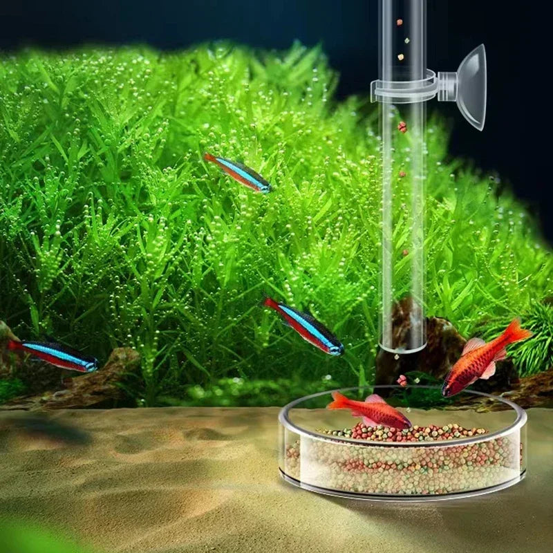 Acrylic Aquarium Shrimp Feeding Dish & Tube (Transparent, 20–30cm, Snail & Shrimp)