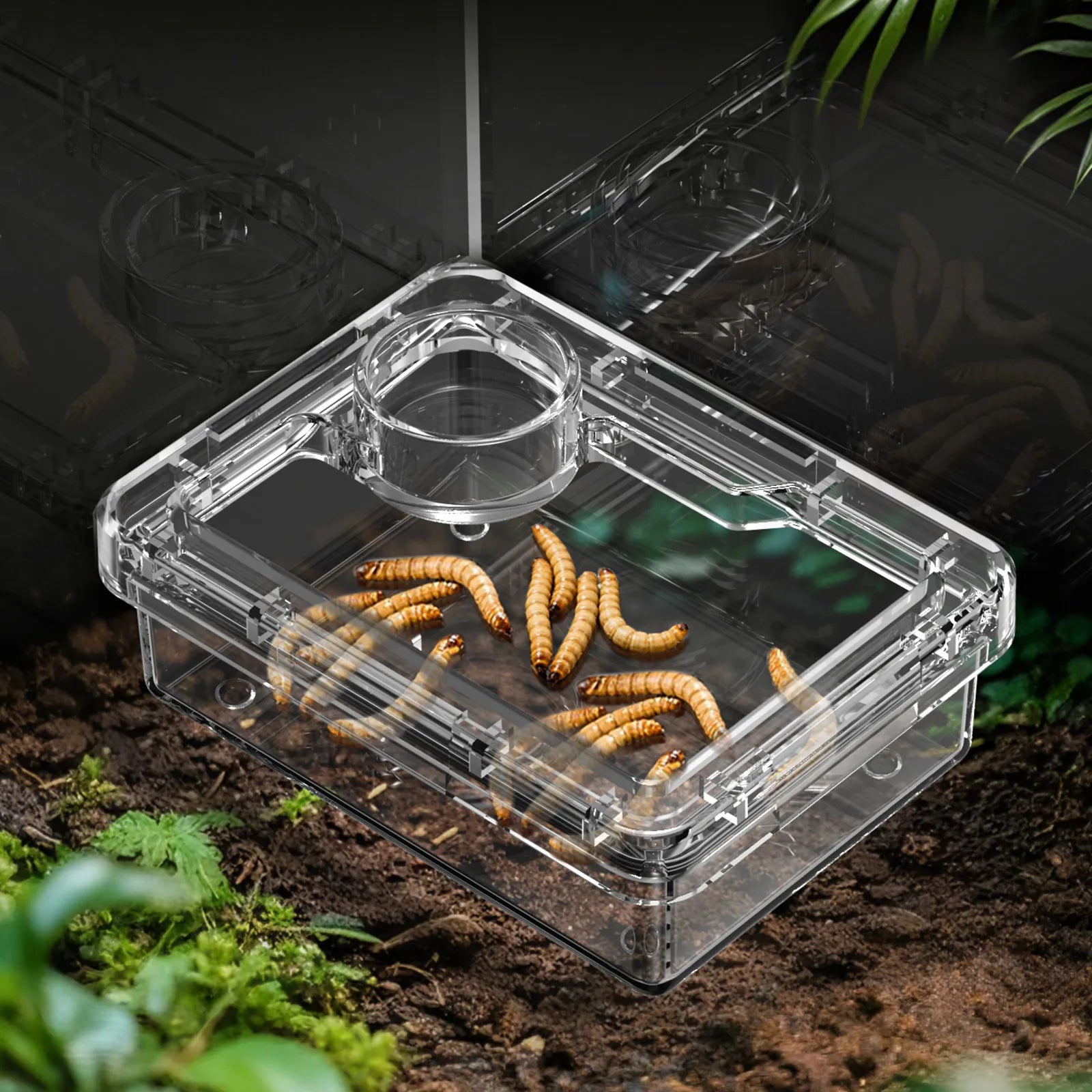 Feeding Bowls and Water Bowls for Reptile Lizards and Geckos to Prevent Tenebrio Molitor and Blaptica Dubia from Escaping