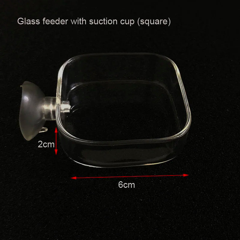 Glass Aquarium Shrimp Feeding Ring & Feeder Dish (Transparent, Floating, Bottom Use)