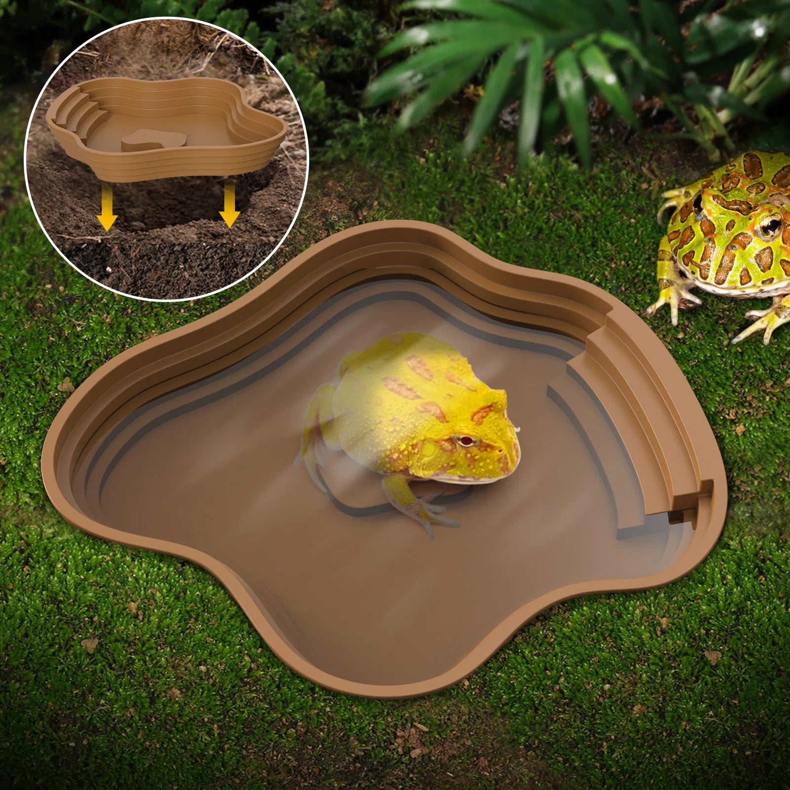Turtle Bathing Basin, Frog Bathing Basin, Can Also Be Used as Food Bowl and Water Basin, Suitable for Reptiles and Amphibians