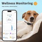 Tize 4G Smart Pet GPS Activity Tracker Dog Collar - Real-Time Anti-Loss Location Monitoring Device