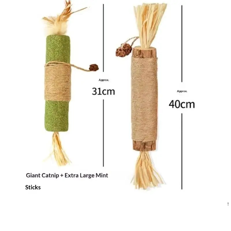 Natural Wood Knotweed Cat Teething Stick Set with Raffia & Sisal Rope